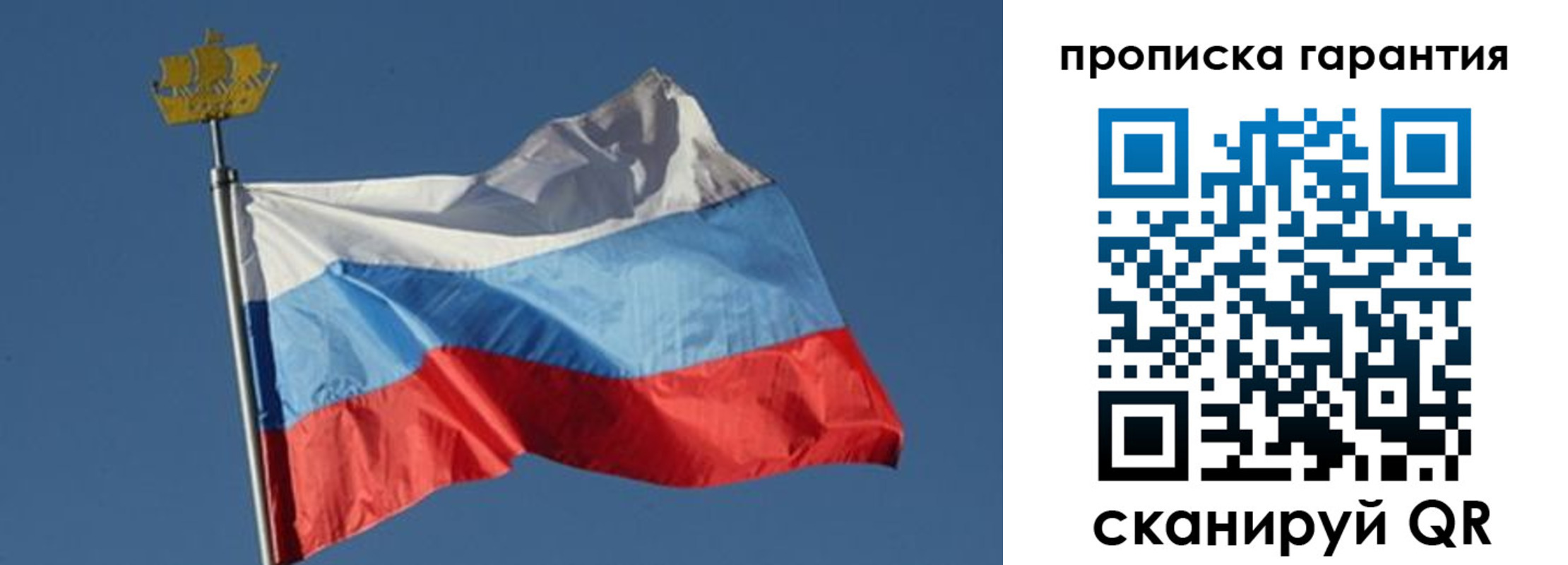 прописка для работы в Киришах